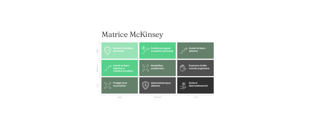 Matrice Mckinsey